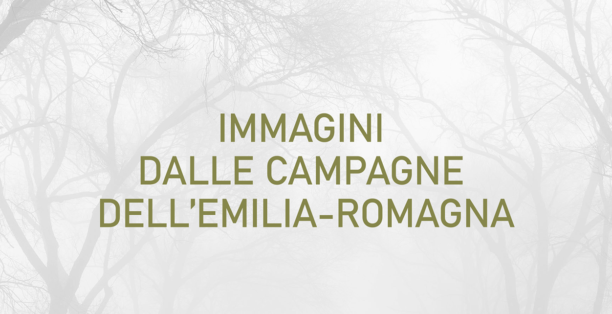 Immagini dalle campagna dell’Emilia-Romagna